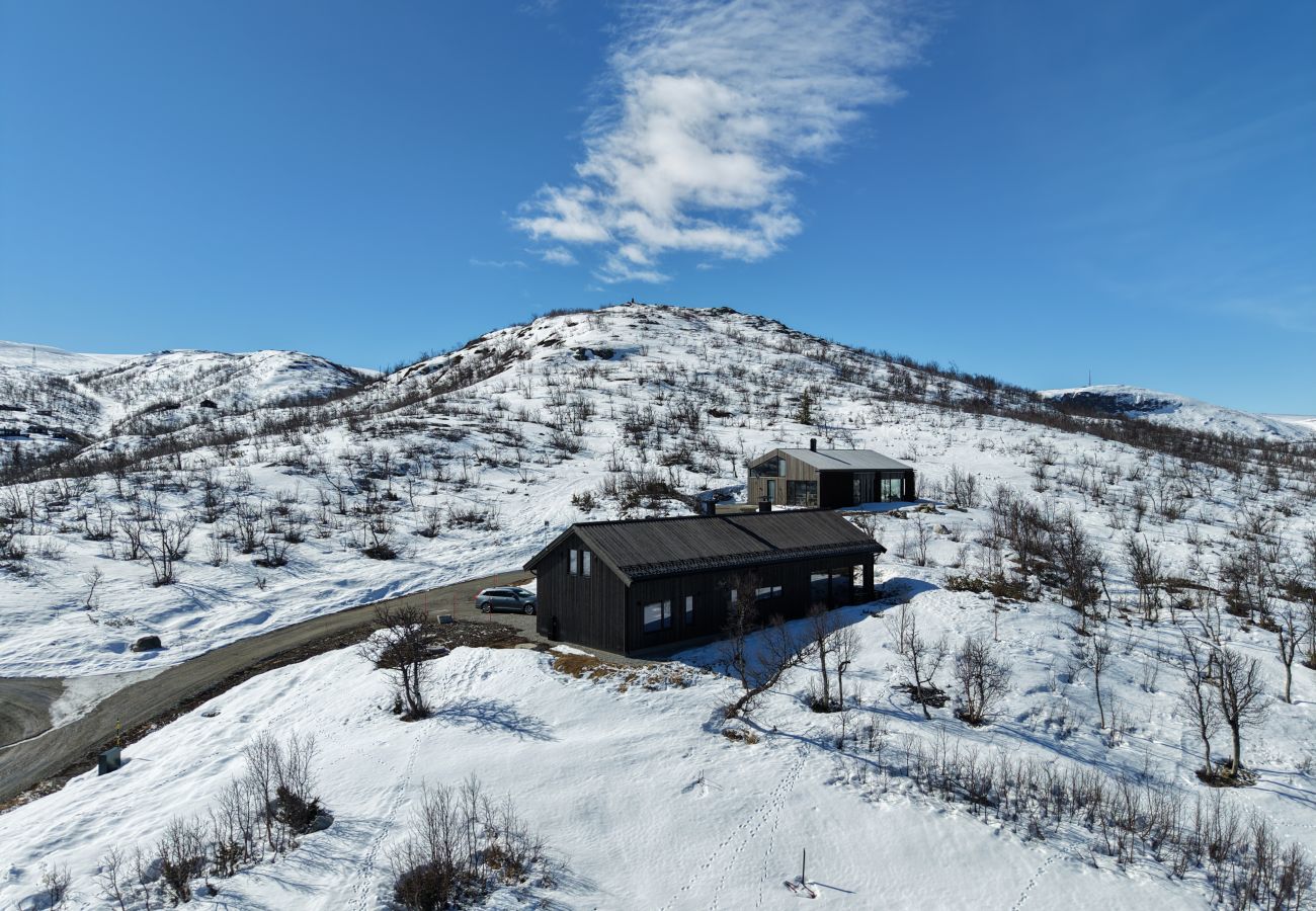 Hytte i Hol - Ny romslig hytte med badstue, Geilo