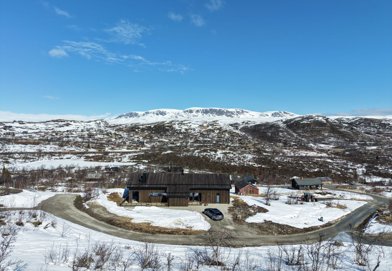 Hytte i Hol - Ny romslig hytte med badstue, Geilo
