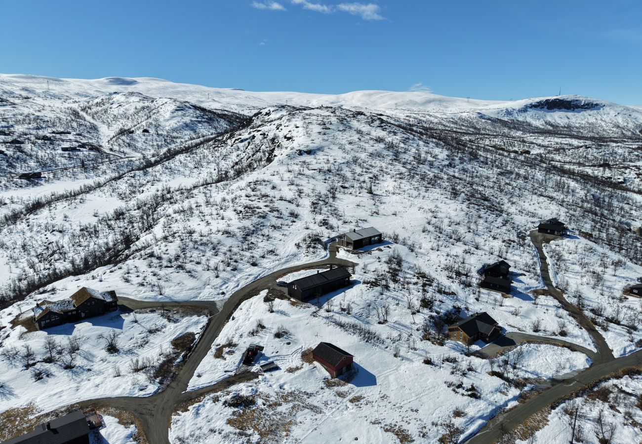 Hytte i Hol - Ny romslig hytte med badstue, Geilo