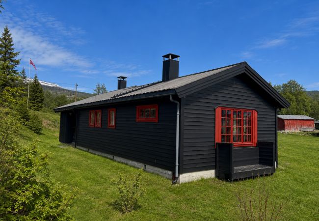 Hytte i Hol - Hytte for hele familien på Geilo