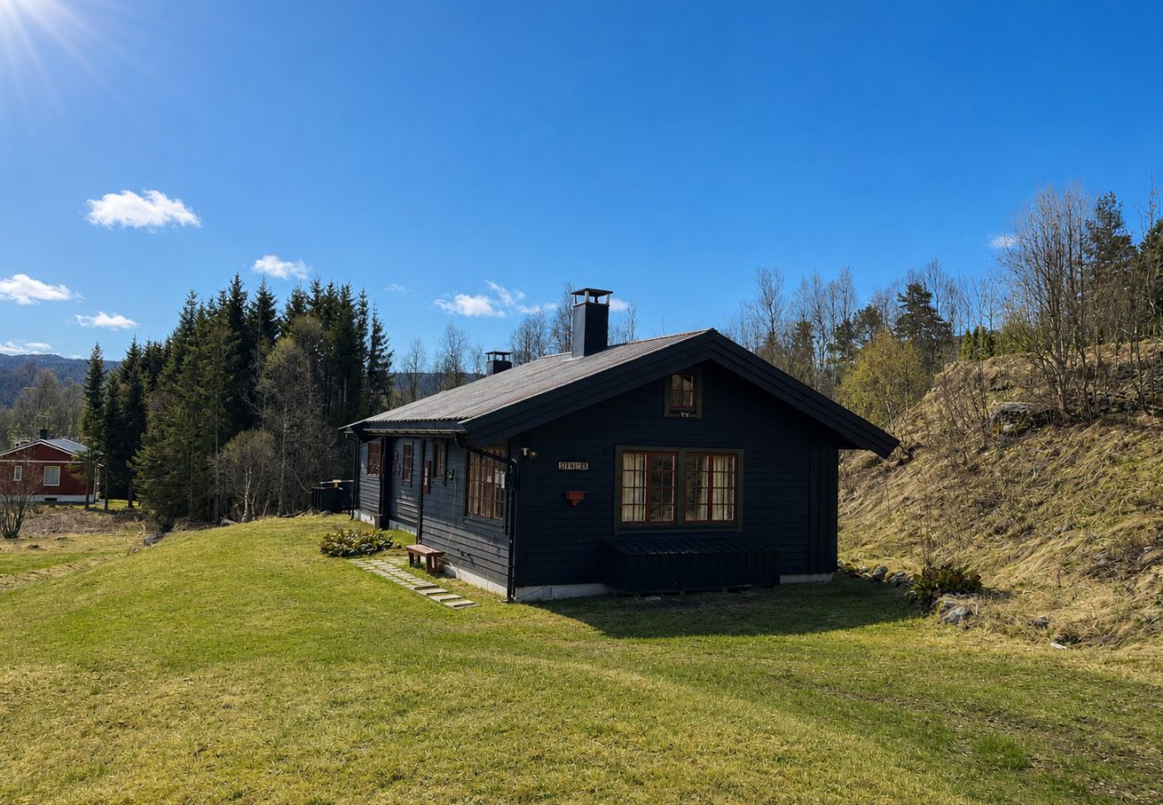 Hytte i Hol - Hytte for hele familien på Geilo