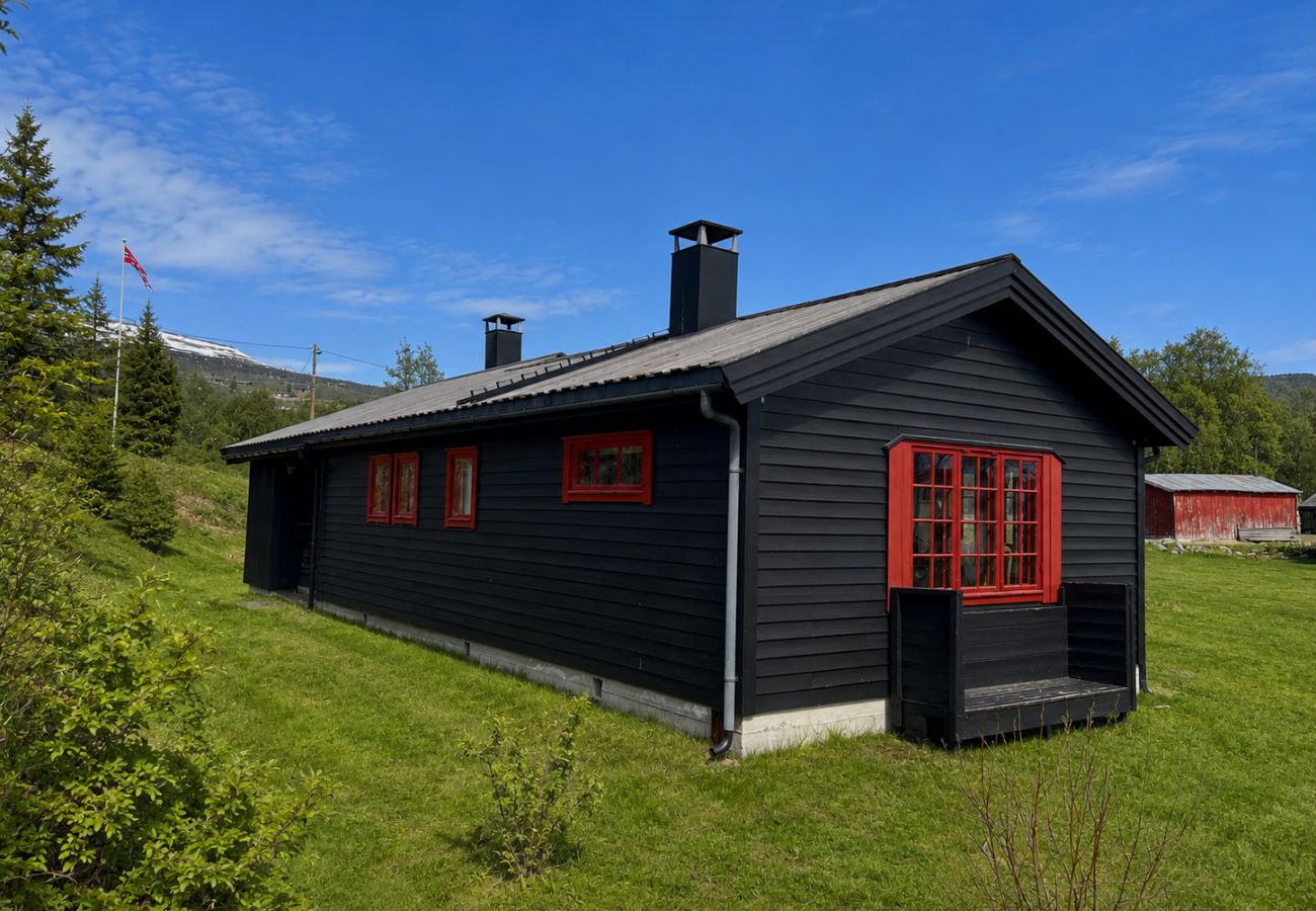 Hytte i Hol - Hytte for hele familien på Geilo