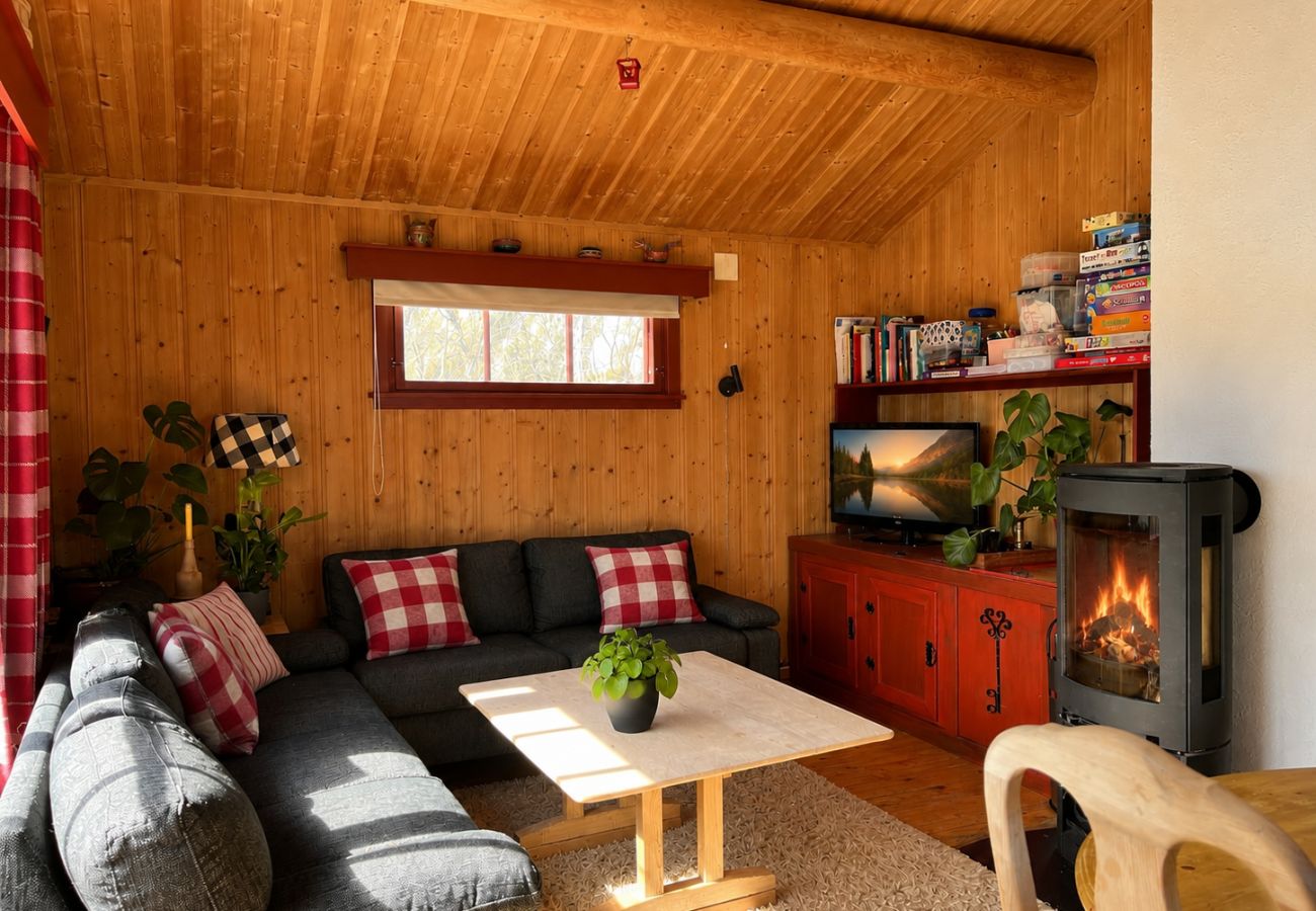 Hytte i Hol - Hytte for hele familien på Geilo