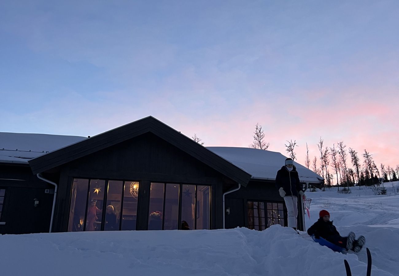Hytte i Gol - Skicabin with access to slopes and tracks, Golsfjellet