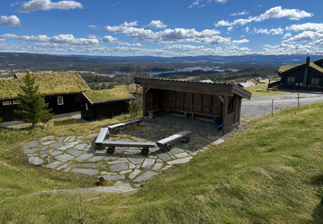 Hytte i Gol - Skicabin with access to slopes and tracks, Golsfjellet