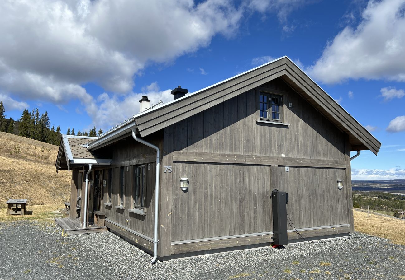 Hytte i Gol - Skicabin with access to slopes and tracks, Golsfjellet
