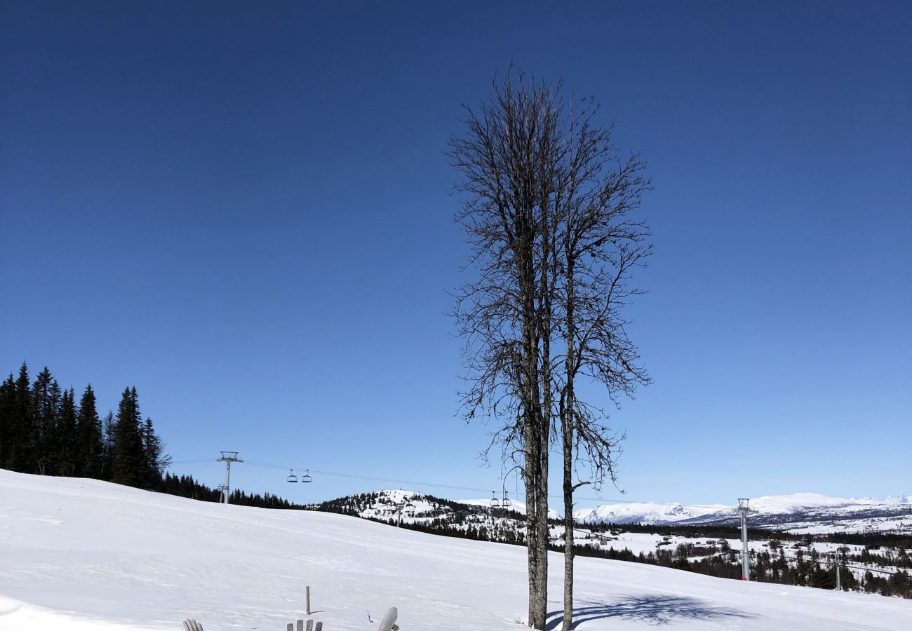 Hytte i Gol - Skicabin with access to slopes and tracks, Golsfjellet