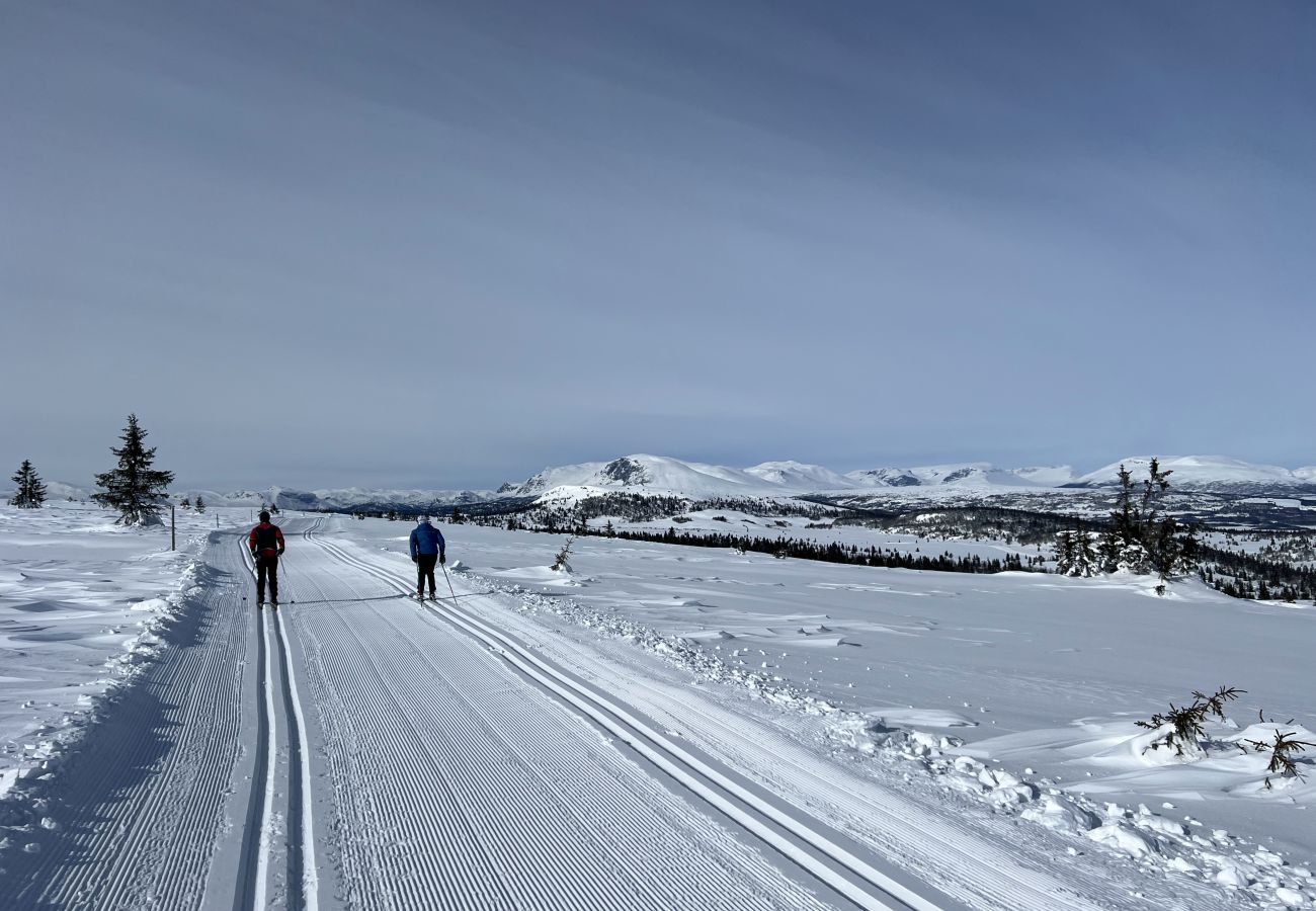 Hytte i Gol - Skicabin with access to slopes and tracks, Golsfjellet