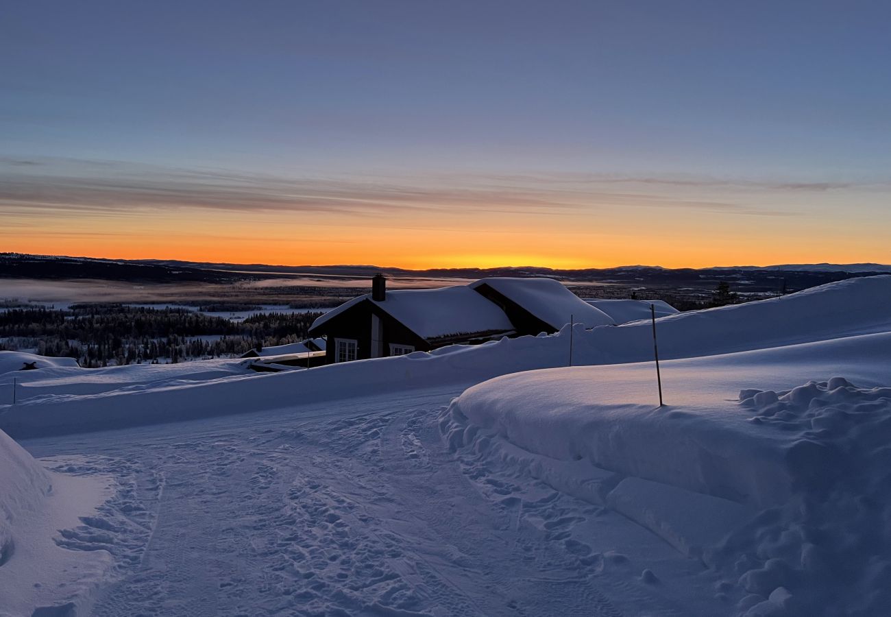 Hytte i Gol - Skicabin with access to slopes and tracks, Golsfjellet