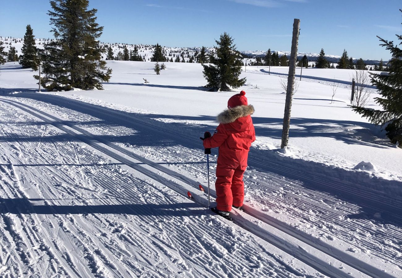 Hytte i Gol - Skicabin with access to slopes and tracks, Golsfjellet