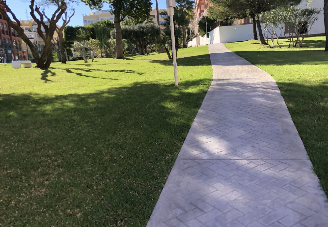 Leilighet i Torrevieja - Calle Helena