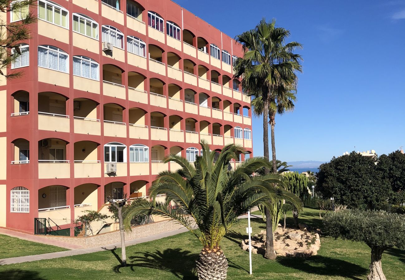 Leilighet i Torrevieja - Calle Helena