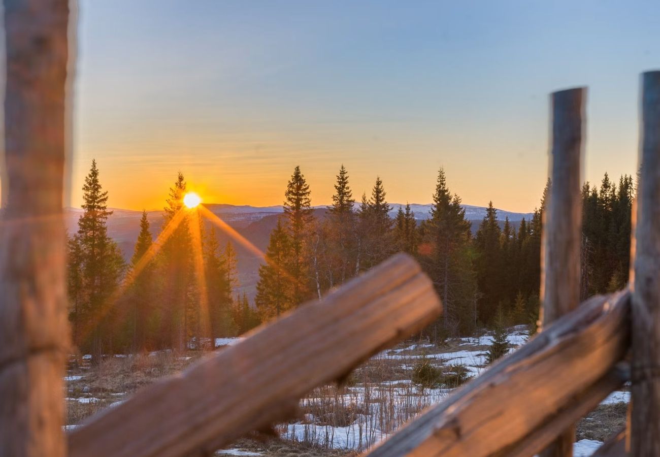 Hytte i Øyer - Ski cabin in Hafjell