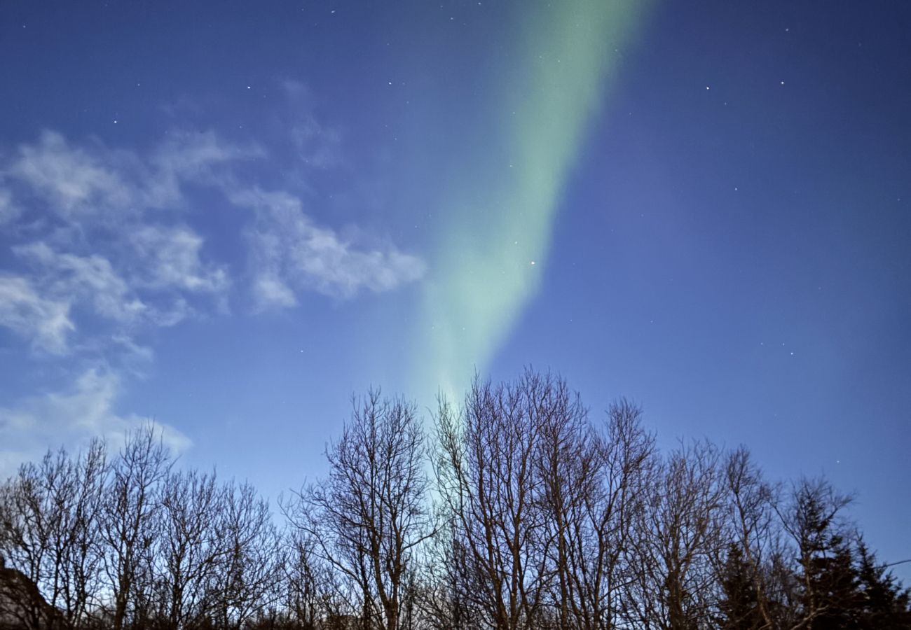 Leilighet i Vestvågøy - Koselig leilighet midt i hjertet av Lofoten