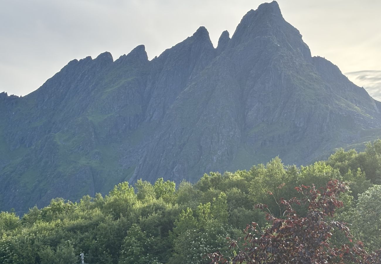 Leilighet i Vestvågøy - Koselig leilighet midt i hjertet av Lofoten
