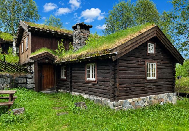 Hytte i Ål - Fjellhytte 4 i Ål med badstue