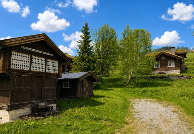 Hytte i Ål - Fjellhytte 7 i Ål med badstue