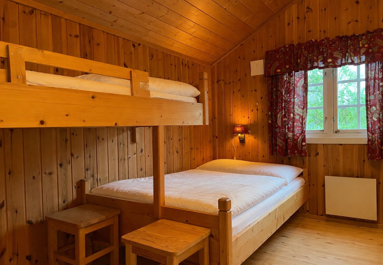 Hytte i Ål - Fjellhytte 7 i Ål med badstue