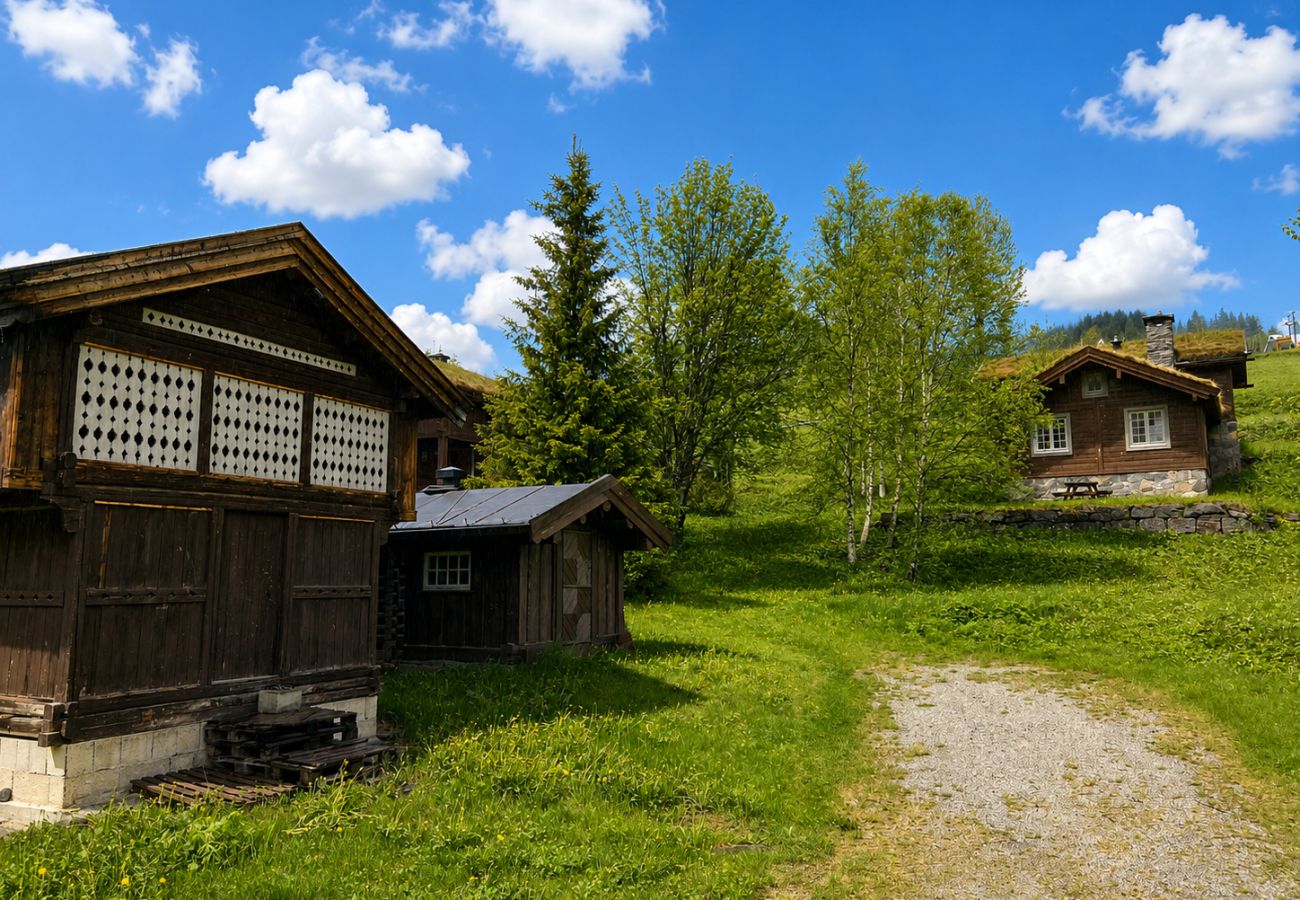 Hytte i Ål - Fjellhytte 7 i Ål med badstue
