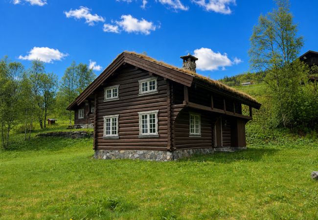 Hytte i Ål - Fjellhytte 6 i Ål med badstue