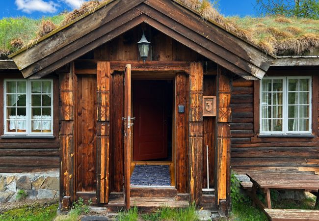 Hytte i Ål - Fjellhytte 3 i Ål med badstue