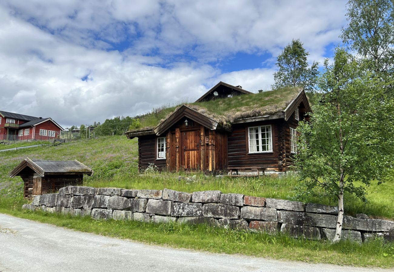 Hytte i Ål - Fjellhytte 3 i Ål med badstue