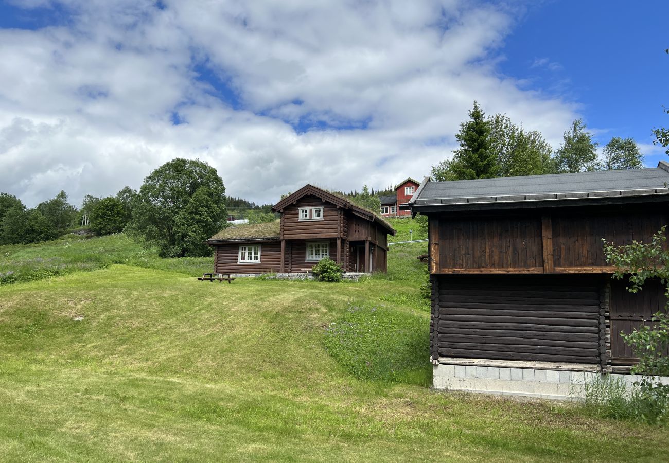 Hytte i Ål - Fjellhytte 8 i Ål med badstue