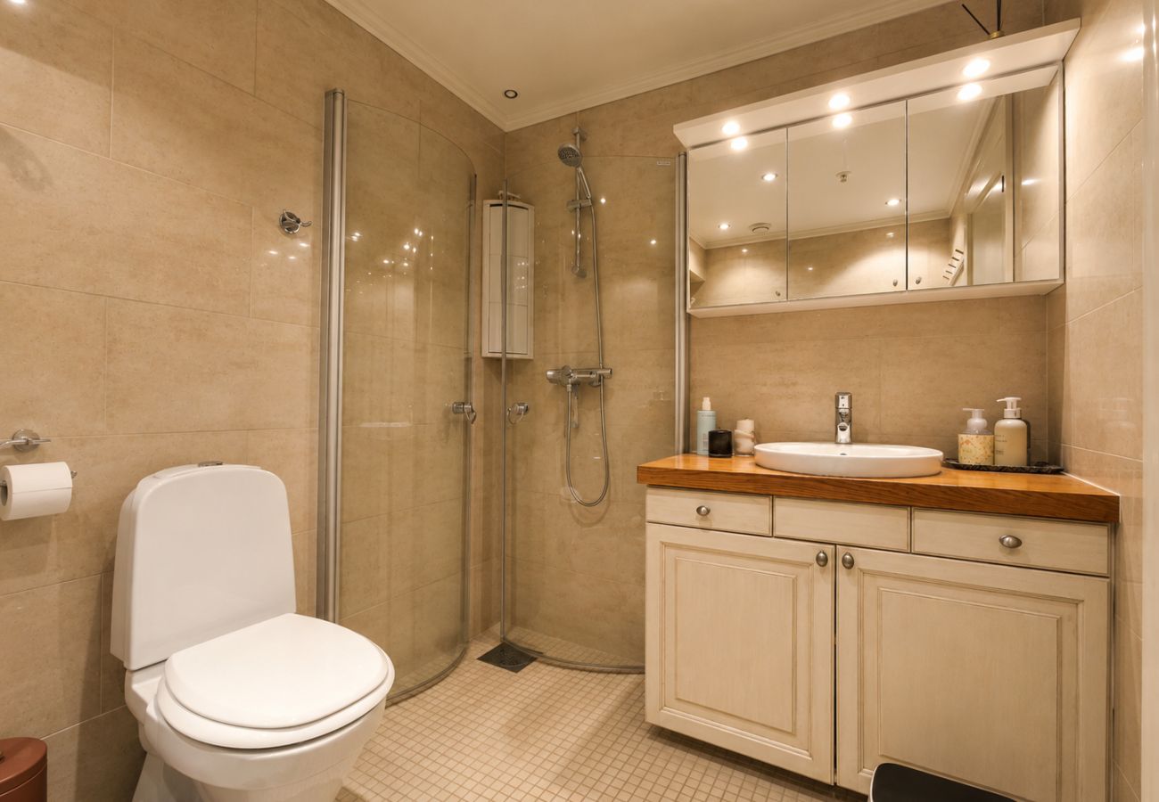 Leilighet i Hol - Kikut Apartment - close to ski slopes