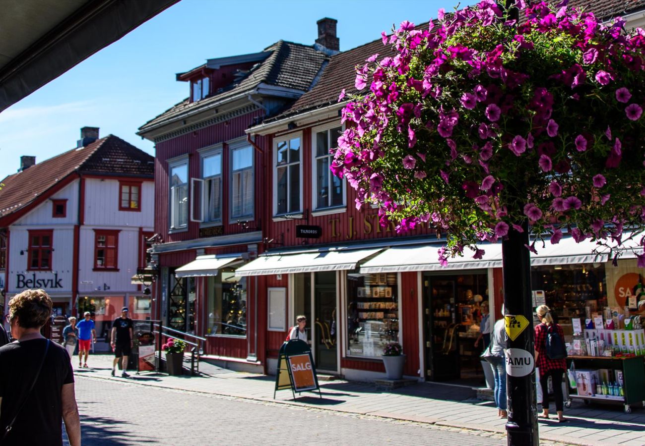 Leilighet i Lillehammer -  Great location and view in Lillehammer 
