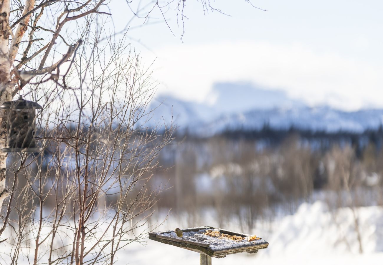 Hytte i Hemsedal - Rolig hytte i naturskjønne omgivelser i Hemsedal
