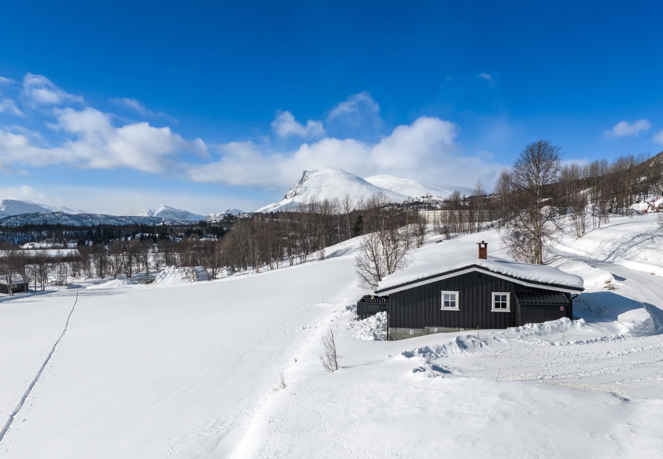 Hytte i Hemsedal - Rolig hytte i naturskjønne omgivelser i Hemsedal