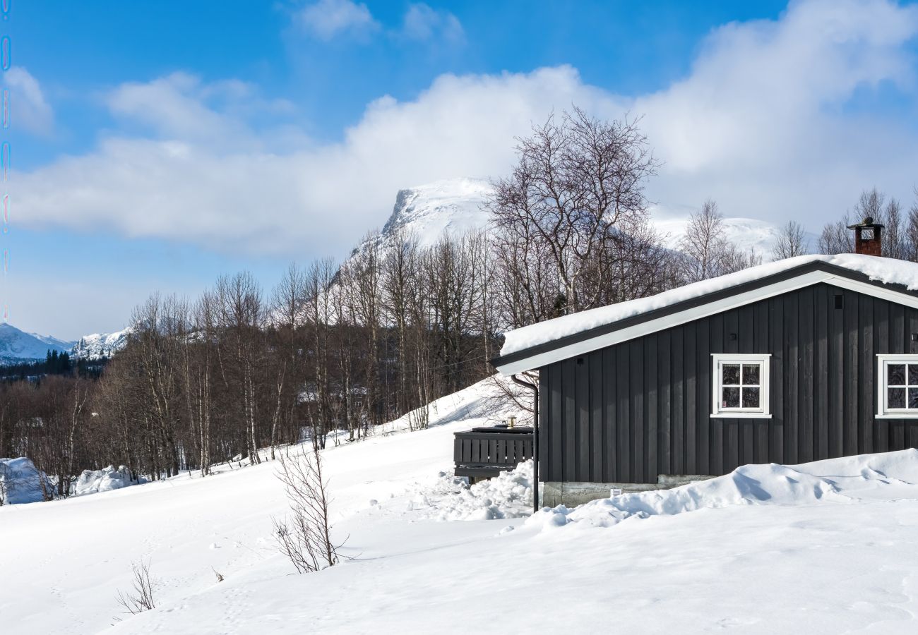 Hytte i Hemsedal - Rolig hytte i naturskjønne omgivelser i Hemsedal