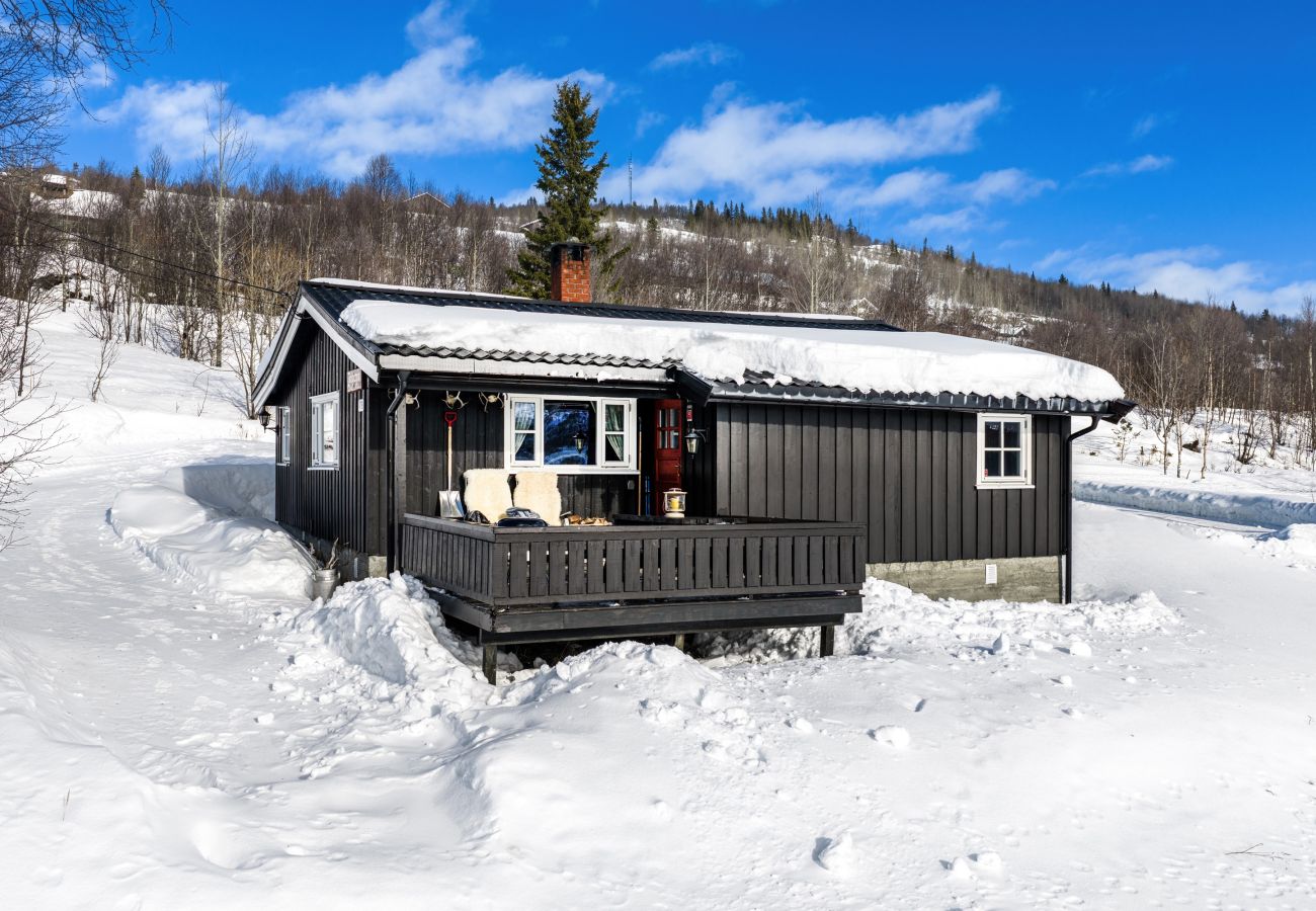 Hytte i Hemsedal - Rolig hytte i naturskjønne omgivelser i Hemsedal