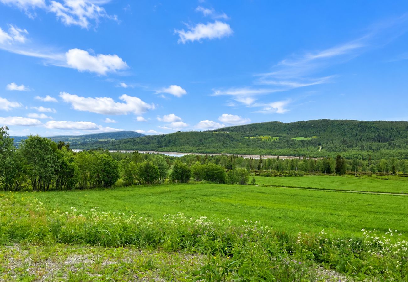 Hytte i Hemsedal - Rolig hytte i naturskjønne omgivelser i Hemsedal