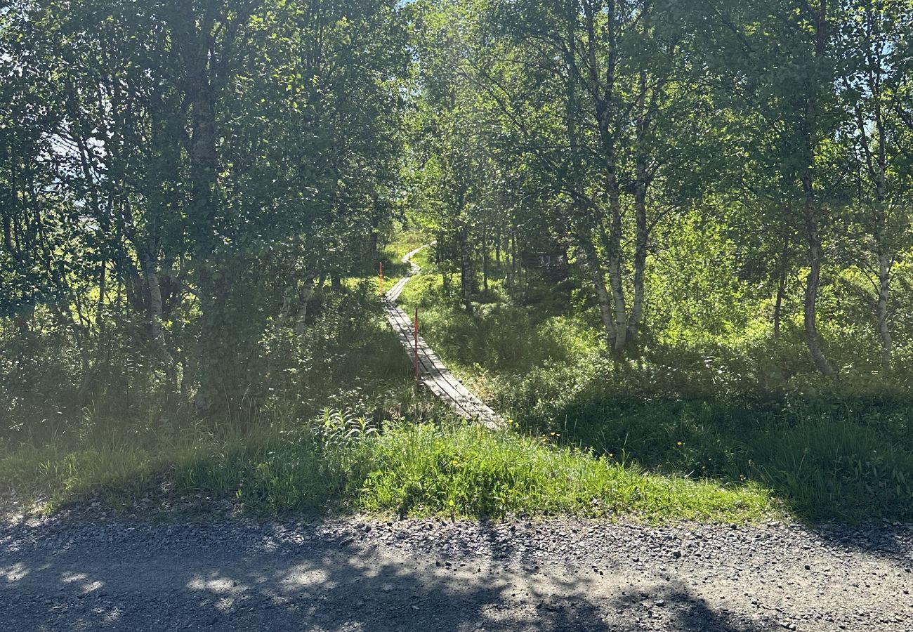 Hytte i Lødingen - Bergtussa - tilbaketrukket beliggenhet i Lødingen Vestbygd
