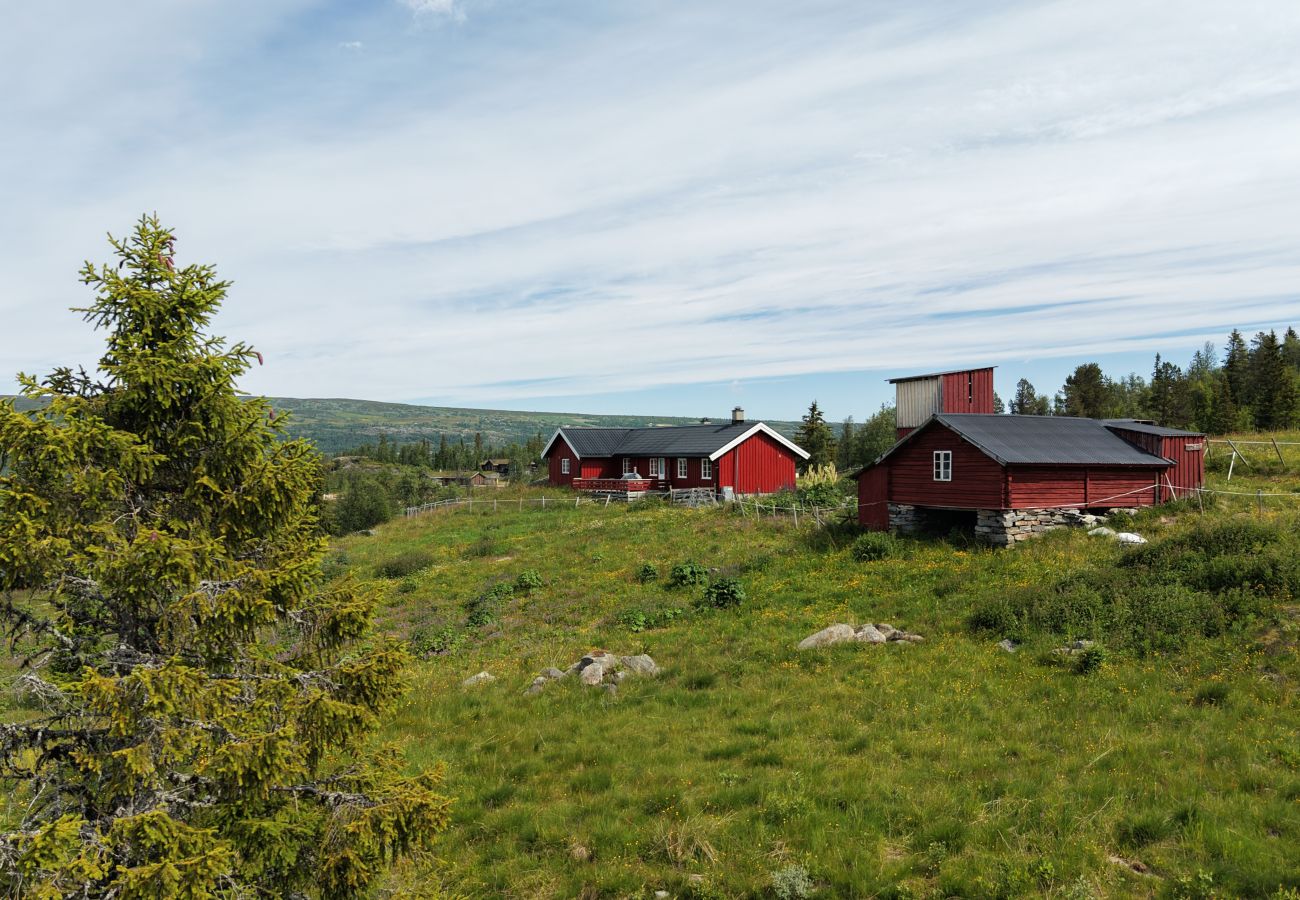 Hytte i Hemsedal - Koselig fjellhytte i Hemsedal med sauna