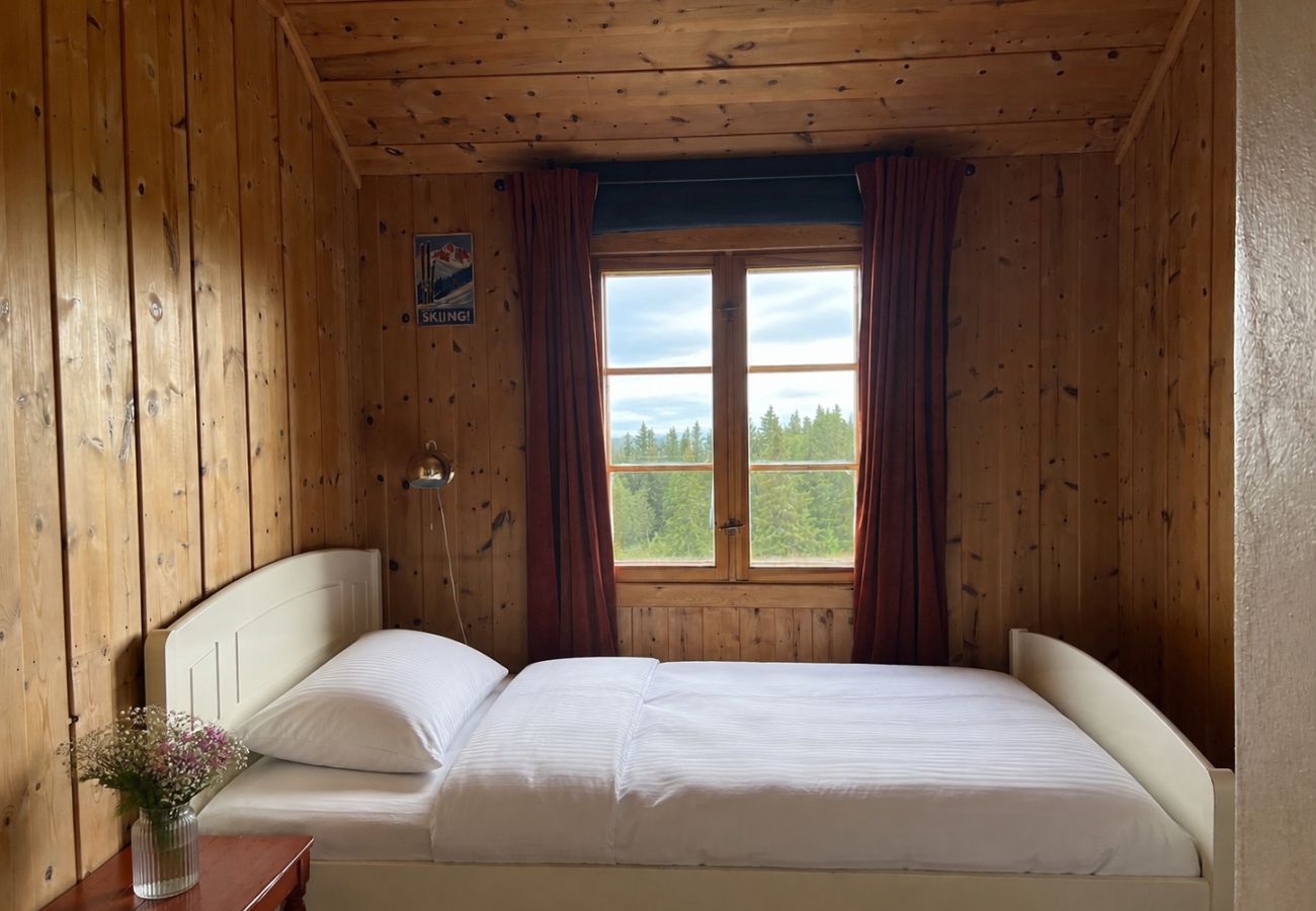 Hytte i Hemsedal - Koselig fjellhytte i Hemsedal med sauna
