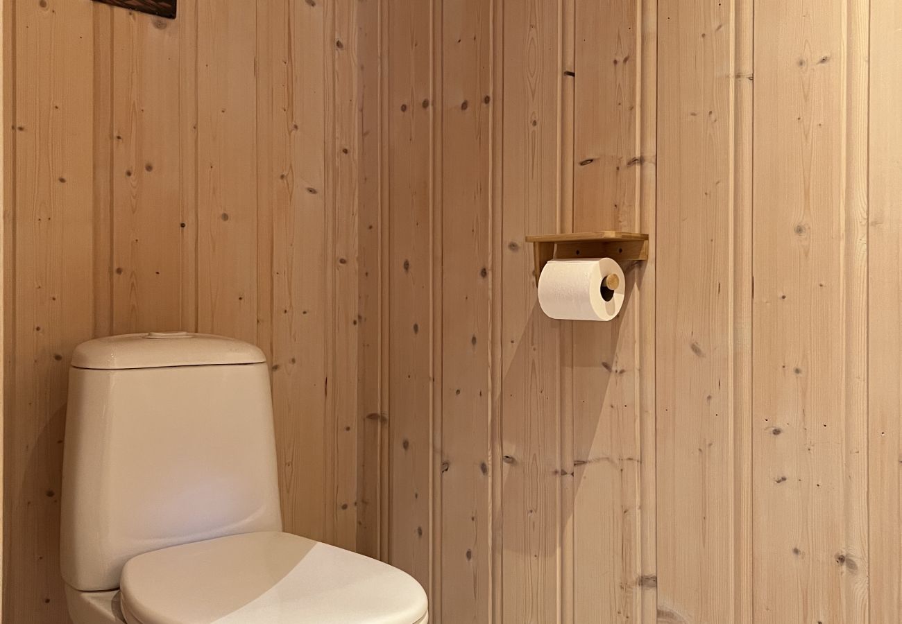 Hytte i Hemsedal - Koselig fjellhytte i Hemsedal med sauna