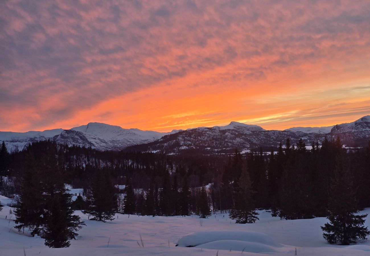 Hytte i Hemsedal - Koselig fjellhytte i Hemsedal med sauna