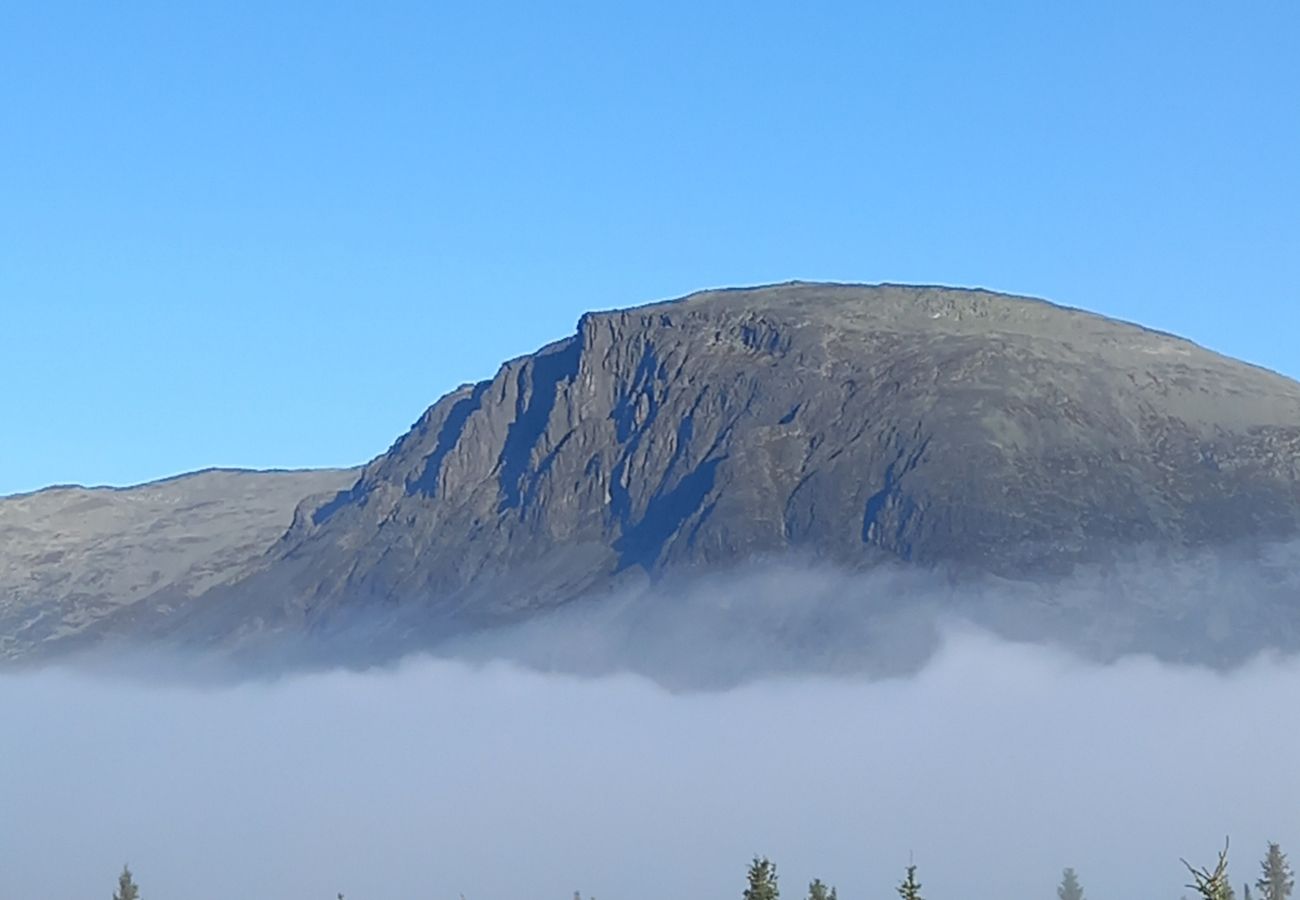 Hytte i Hemsedal - Koselig fjellhytte i Hemsedal med sauna