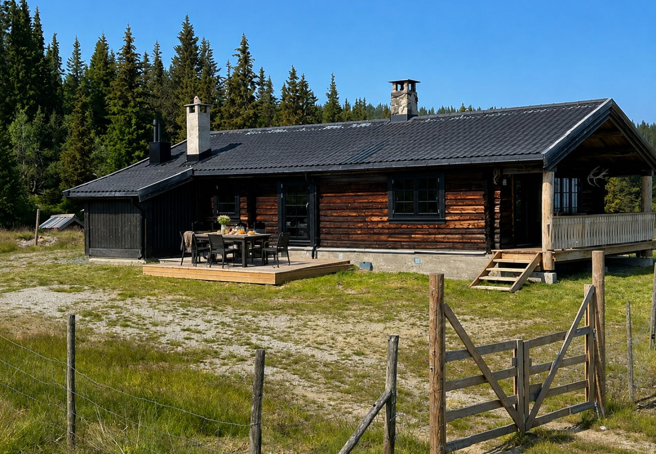 Hytte i Nesbyen - Tradisjonell hytte i nydelig landskap på Nesbyen