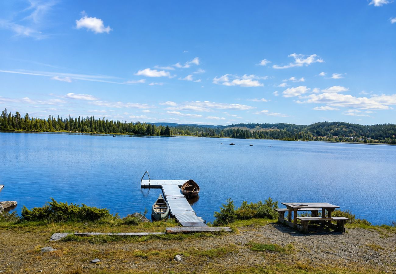 Hytte i Nesbyen - Tradisjonell hytte i nydelig landskap på Nesbyen