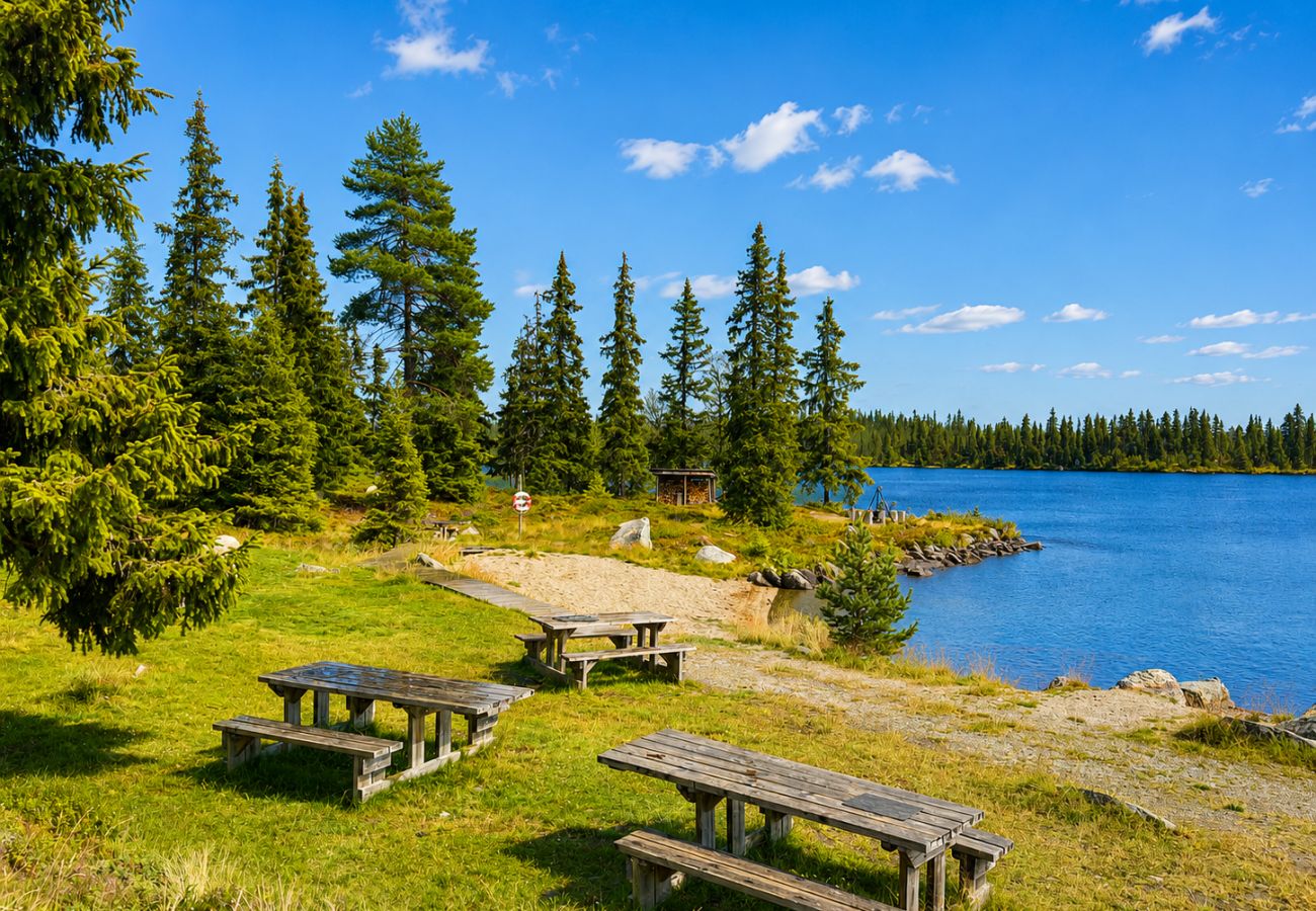 Hytte i Nesbyen - Tradisjonell hytte i nydelig landskap på Nesbyen