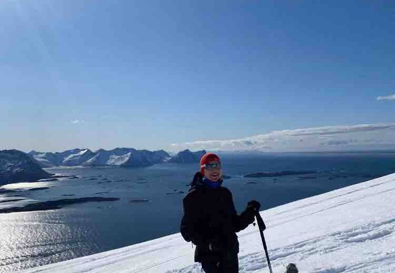 Hytte i Senja - Senja Aurora & Midnight Sun Lodge