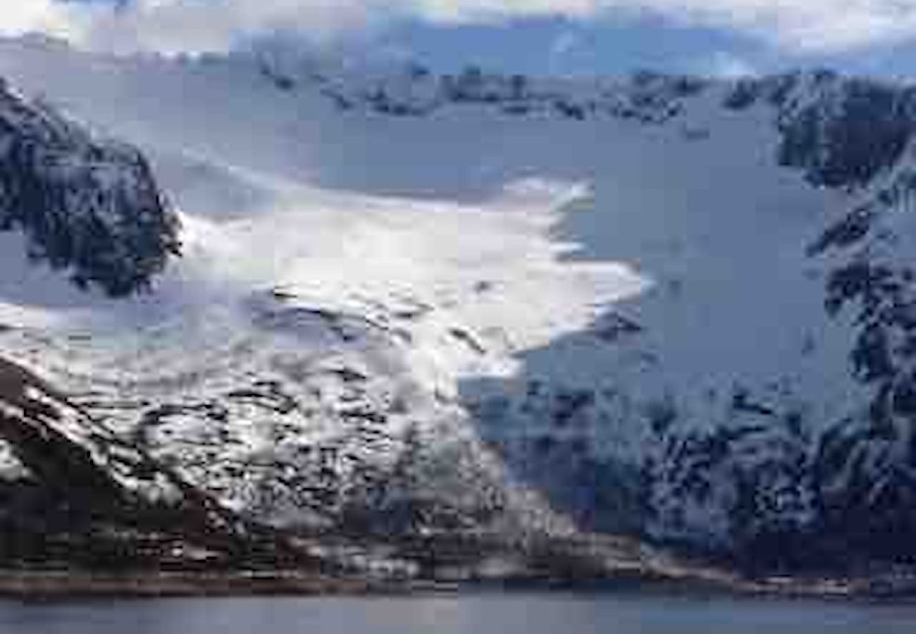 Hytte i Senja - Senja Aurora & Midnight Sun Lodge