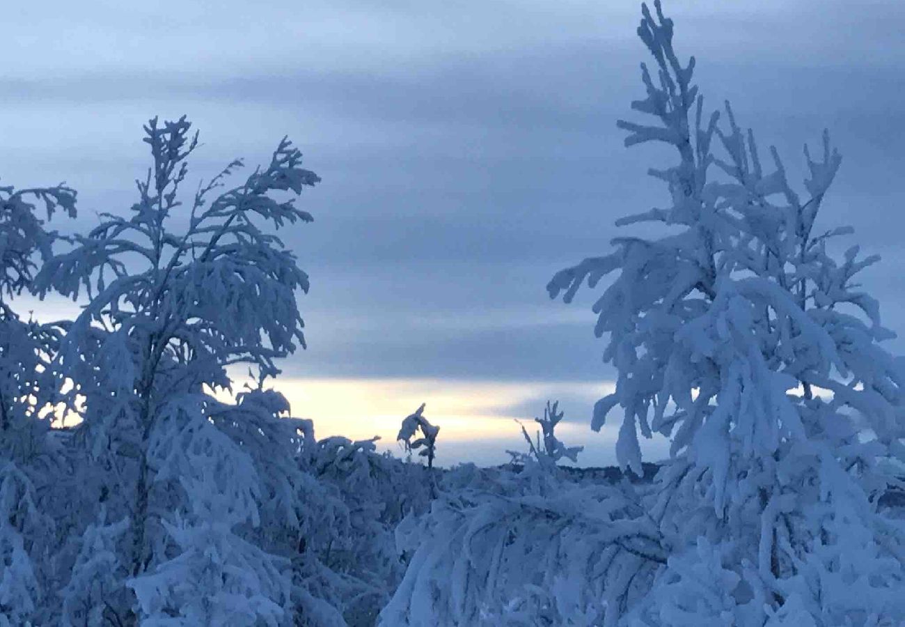 Hytte i Senja - Senja Aurora & Midnight Sun Lodge