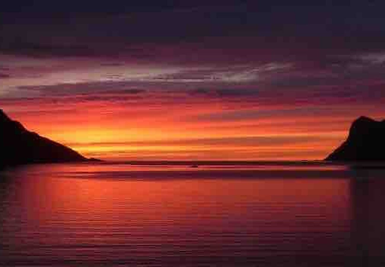 Hytte i Senja - Senja Aurora & Midnight Sun Lodge