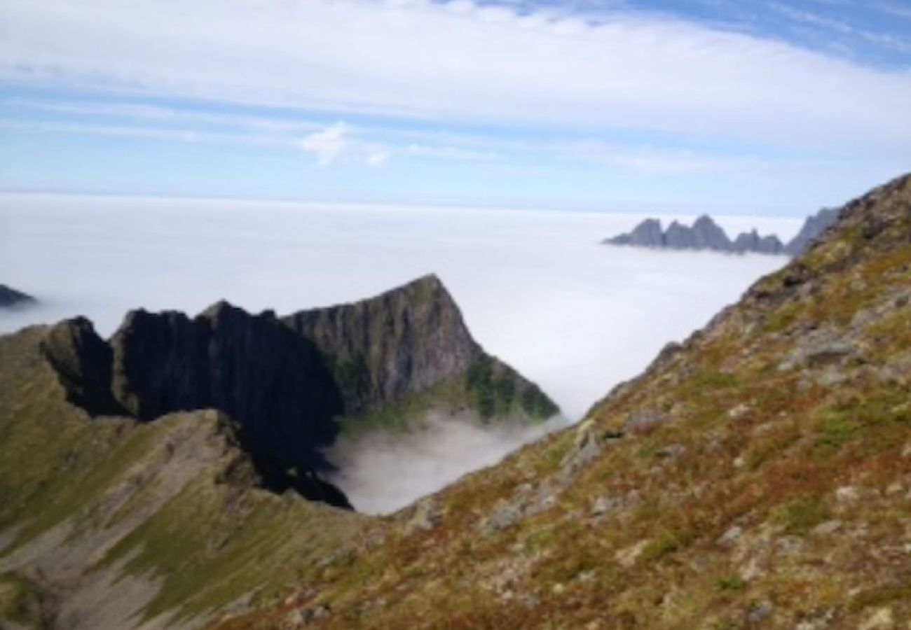 Hytte i Senja - Senja Aurora & Midnight Sun Lodge