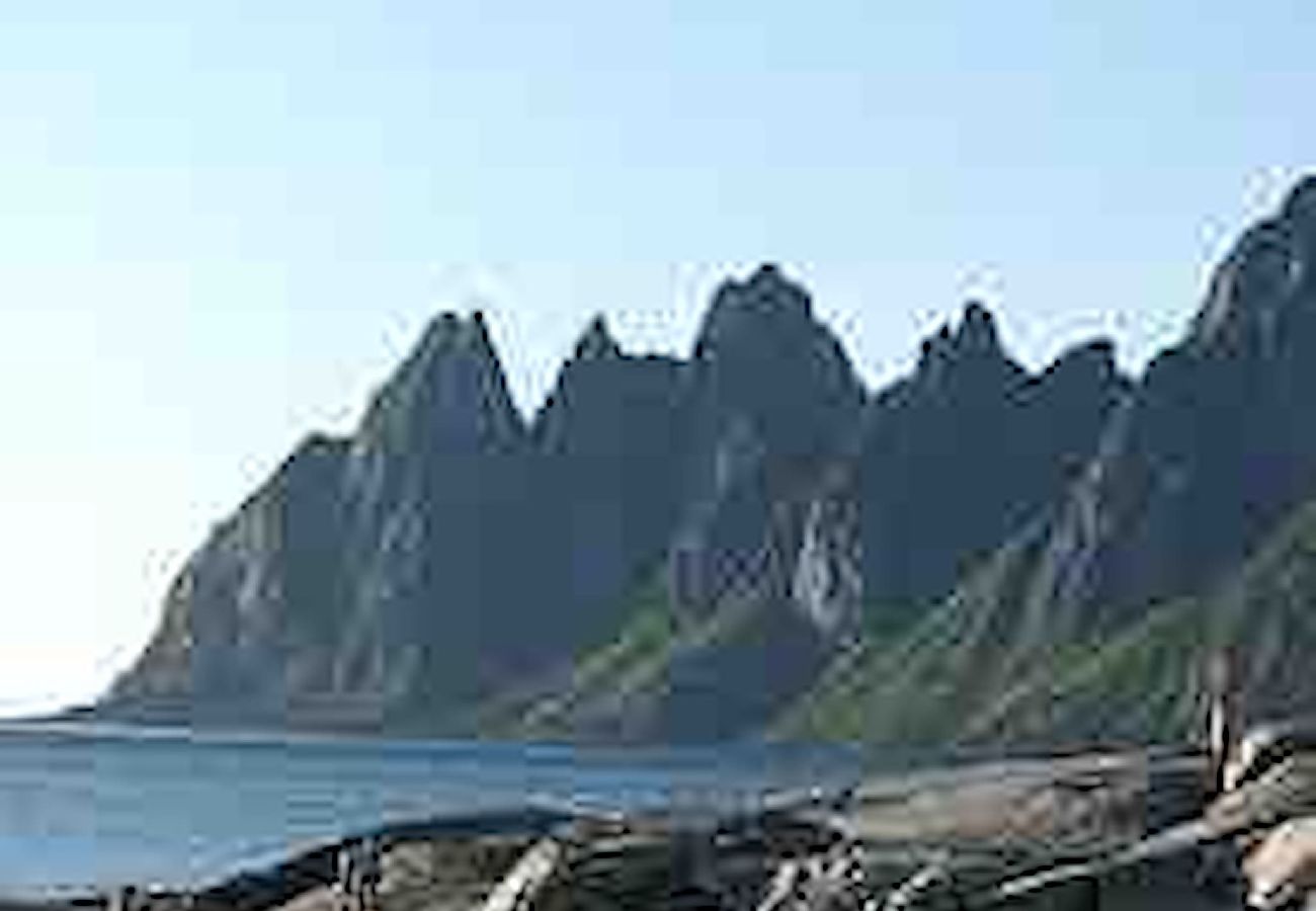 Hytte i Senja - Senja Aurora & Midnight Sun Lodge