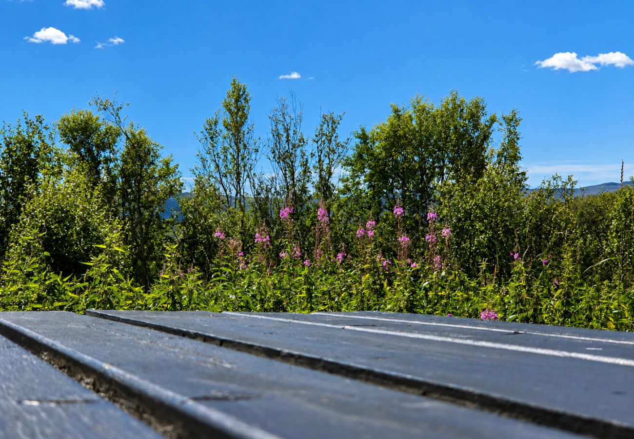 Hytte i Hol - Hvilebu - Sjarmerende og tradisjonell hytte på Kikut, Geilo